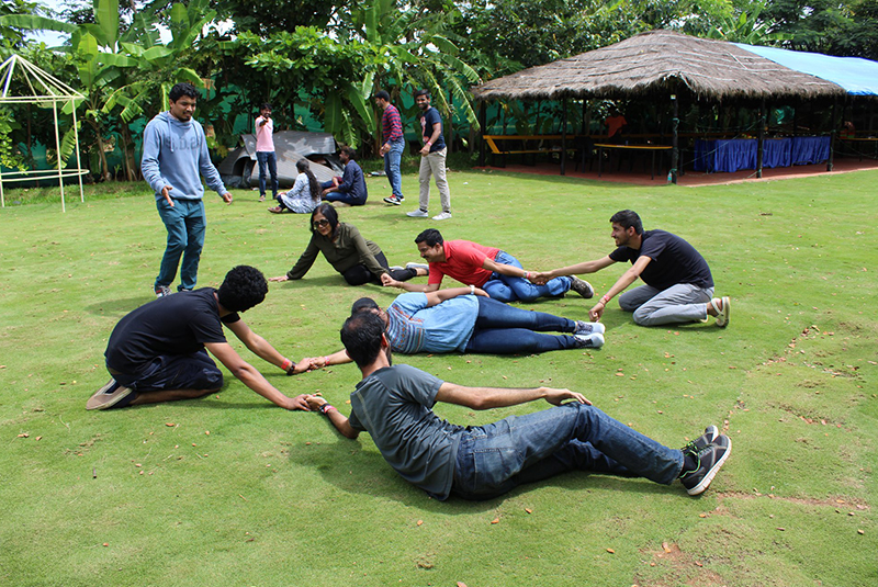 Company Activity